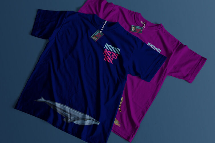 2 1 poleras estirada 6