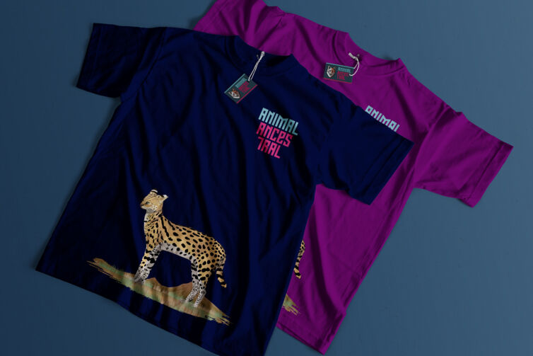 2 1 poleras estirada b