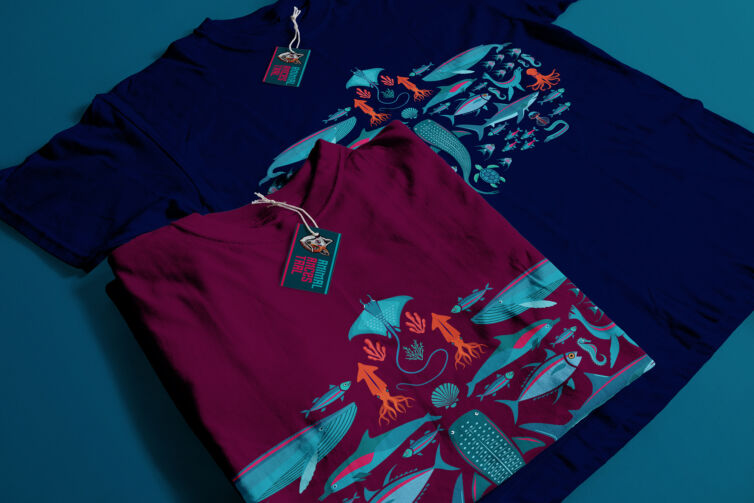 2 2 poleras 1 doblada 1 estirada 10