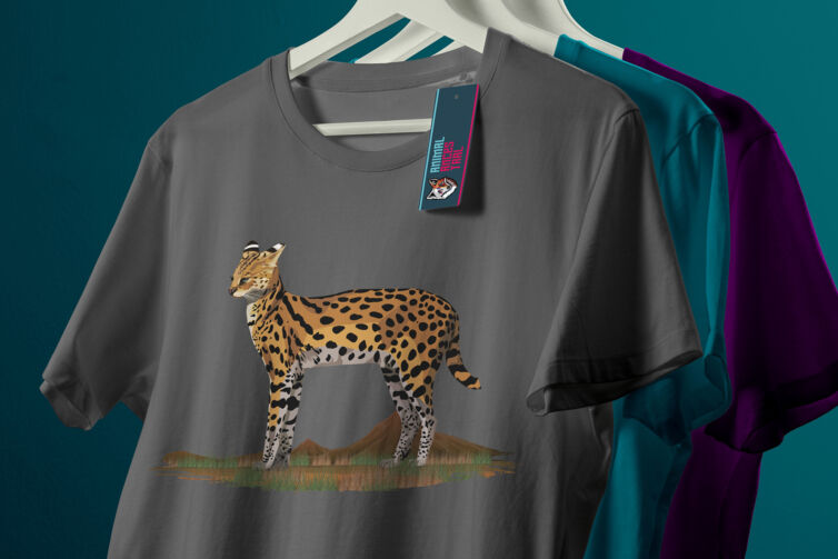 3 poleras claras colgador 3