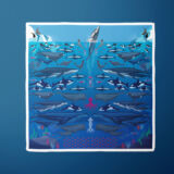 antartica 1