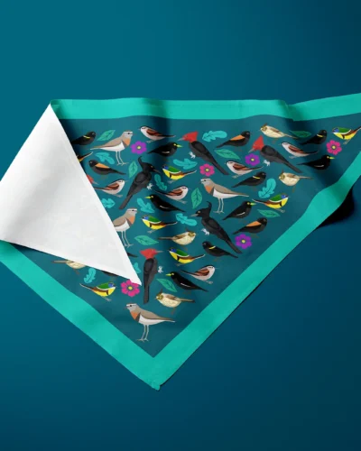 Siete colores, cachudito y amigos