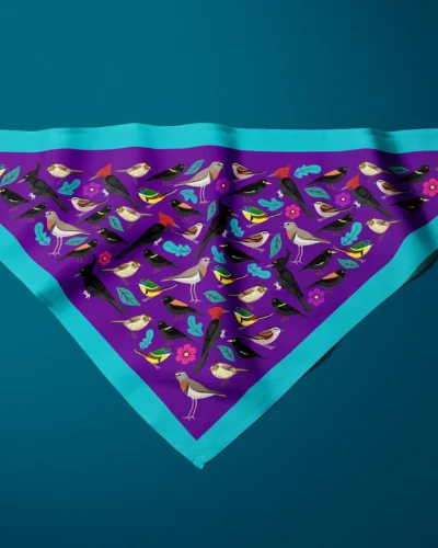 Siete colores, cachudito y amigos